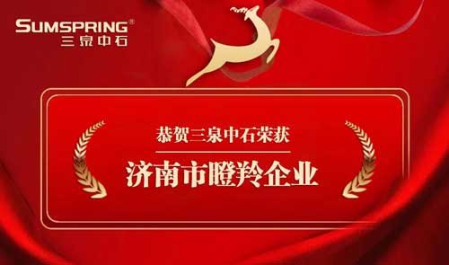 瞪羚企業(yè) 瞪羚企業(yè)